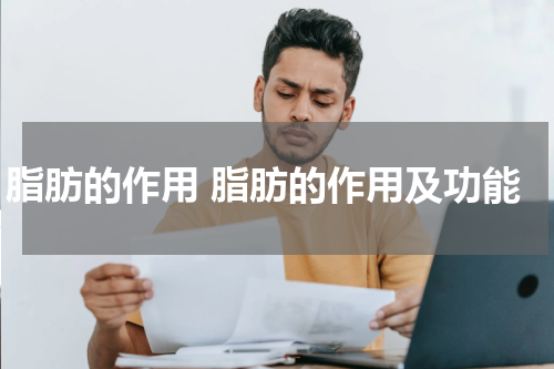 脂肪的作用 脂肪的作用及功能