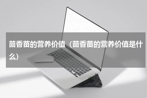 茴香苗的营养价值（茴香苗的营养价值是什么）