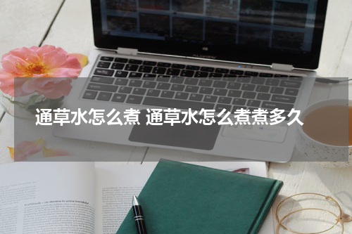 通草水怎么煮 通草水怎么煮煮多久