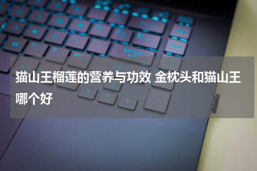 猫山王榴莲的营养与功效 金枕头和猫山王哪个好