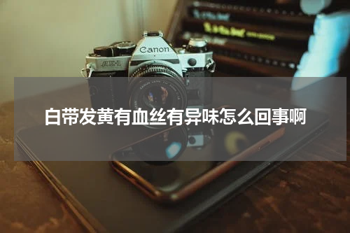 白带发黄有血丝有异味怎么回事啊