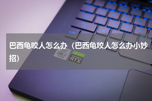 巴西龟咬人怎么办（巴西龟咬人怎么办小妙招）