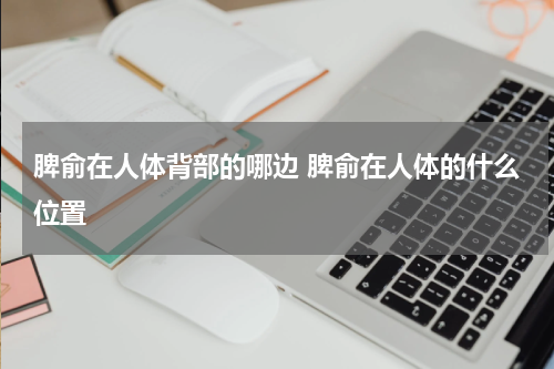 脾俞在人体背部的哪边 脾俞在人体的什么位置