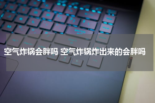 空气炸锅会胖吗 空气炸锅炸出来的会胖吗