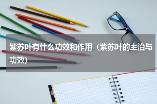 紫苏叶有什么功效和作用（紫苏叶的主治与功效）