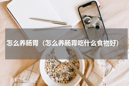 怎么养肠胃（怎么养肠胃吃什么食物好）