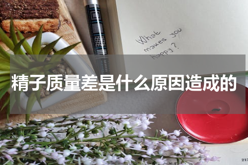 精子质量差是什么原因造成的