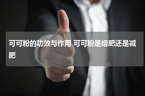 可可粉的功效与作用 可可粉是增肥还是减肥