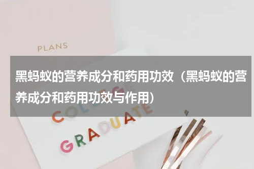 黑蚂蚁的营养成分和药用功效（黑蚂蚁的营养成分和药用功效与作用）