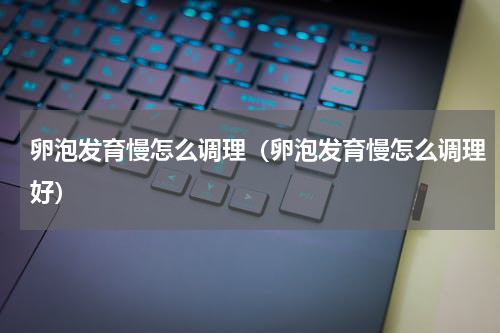 卵泡发育慢怎么调理（卵泡发育慢怎么调理好）