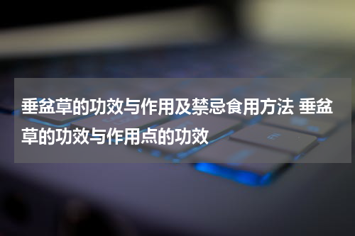 垂盆草的功效与作用及禁忌食用方法 垂盆草的功效与作用点的功效