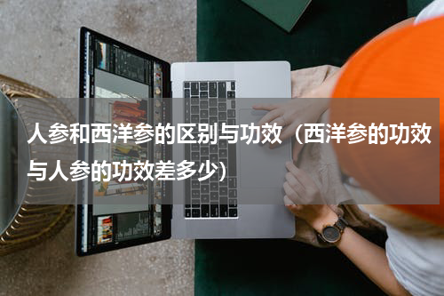 人参和西洋参的区别与功效（西洋参的功效与人参的功效差多少）