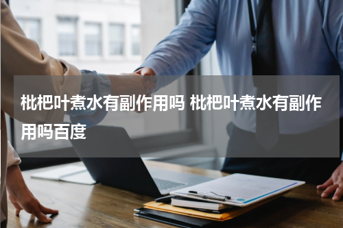 枇杷叶煮水有副作用吗 枇杷叶煮水有副作用吗百度