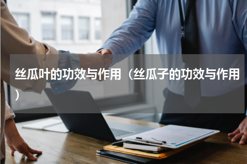 丝瓜叶的功效与作用（丝瓜子的功效与作用）