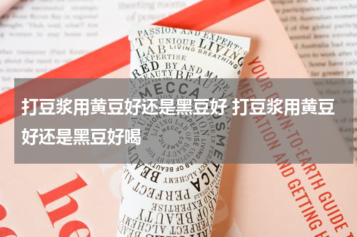 打豆浆用黄豆好还是黑豆好 打豆浆用黄豆好还是黑豆好喝