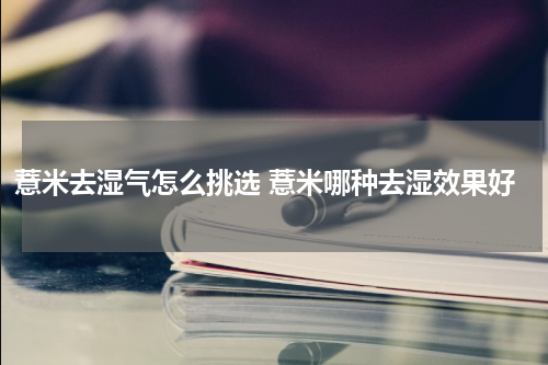 薏米去湿气怎么挑选 薏米哪种去湿效果好