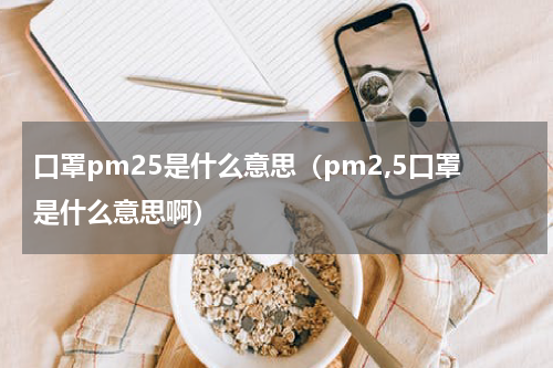 口罩pm25是什么意思（pm2,5口罩是什么意思啊）