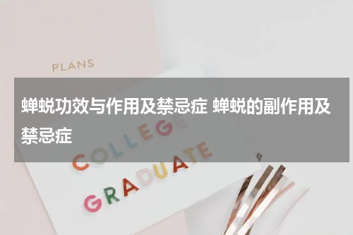 蝉蜕功效与作用及禁忌症 蝉蜕的副作用及禁忌症