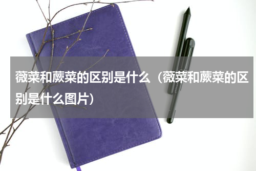 薇菜和蕨菜的区别是什么（薇菜和蕨菜的区别是什么图片）