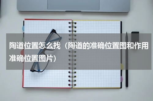 陶道位置怎么找（陶道的准确位置图和作用准确位置图片）