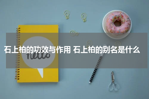 石上柏的功效与作用 石上柏的别名是什么