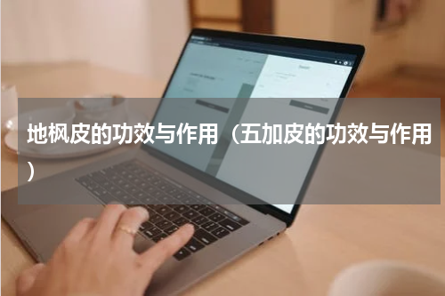 地枫皮的功效与作用（五加皮的功效与作用）