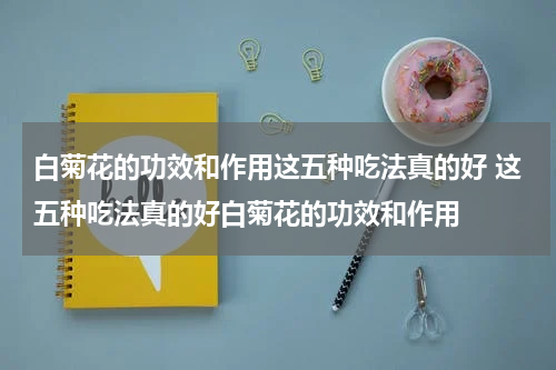 白菊花的功效和作用这五种吃法真的好 这五种吃法真的好白菊花的功效和作用