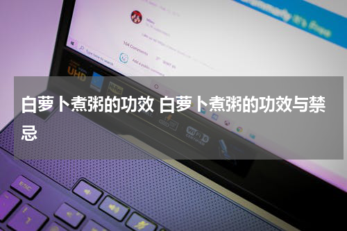 白萝卜煮粥的功效 白萝卜煮粥的功效与禁忌