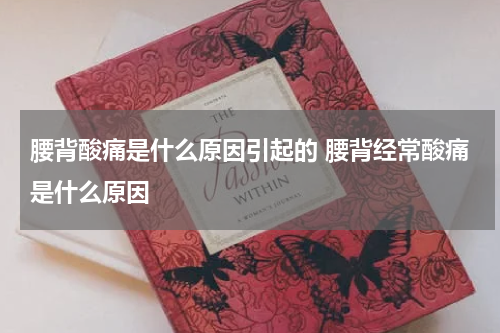 腰背酸痛是什么原因引起的 腰背经常酸痛是什么原因