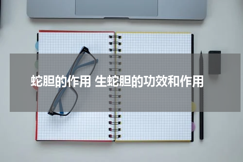 蛇胆的作用 生蛇胆的功效和作用