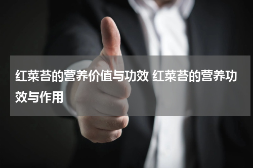 红菜苔的营养价值与功效 红菜苔的营养功效与作用