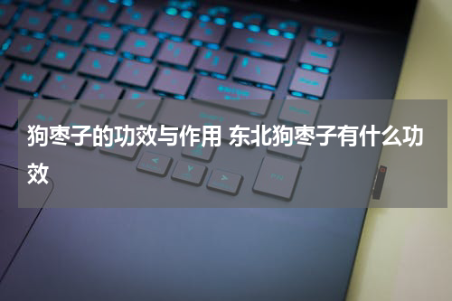 狗枣子的功效与作用 东北狗枣子有什么功效