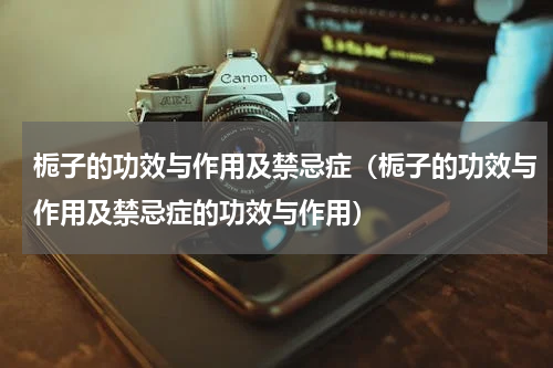 栀子的功效与作用及禁忌症（栀子的功效与作用及禁忌症的功效与作用）