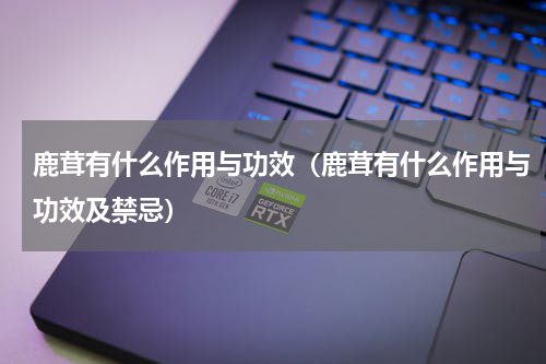 鹿茸有什么作用与功效（鹿茸有什么作用与功效及禁忌）