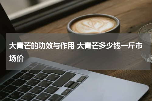大青芒的功效与作用 大青芒多少钱一斤市场价