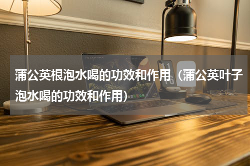 蒲公英根泡水喝的功效和作用（蒲公英叶子泡水喝的功效和作用）