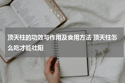 顶天柱的功效与作用及食用方法 顶天柱怎么吃才能壮阳
