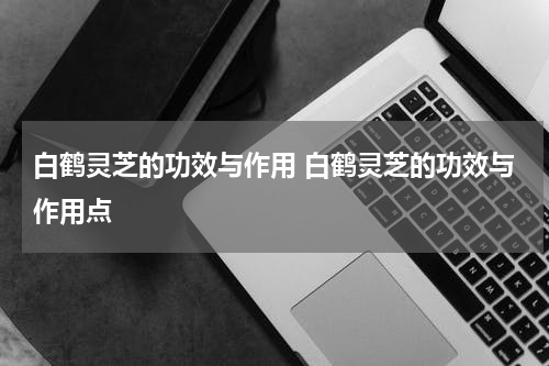 白鹤灵芝的功效与作用 白鹤灵芝的功效与作用点
