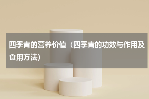 四季青的营养价值（四季青的功效与作用及食用方法）