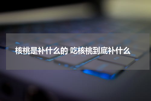 核桃是补什么的 吃核桃到底补什么