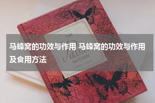 马蜂窝的功效与作用 马蜂窝的功效与作用及食用方法