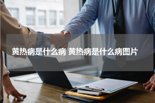 黄热病是什么病 黄热病是什么病图片