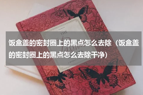 饭盒盖的密封圈上的黑点怎么去除（饭盒盖的密封圈上的黑点怎么去除干净）