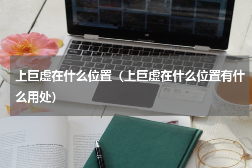 上巨虚在什么位置（上巨虚在什么位置有什么用处）