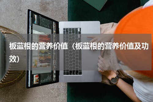 板蓝根的营养价值（板蓝根的营养价值及功效）