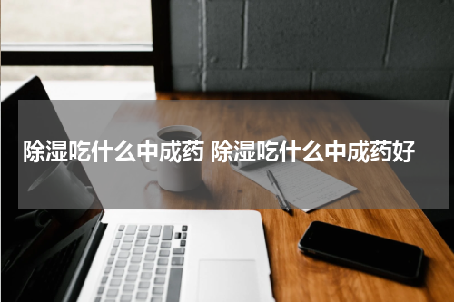 除湿吃什么中成药 除湿吃什么中成药好