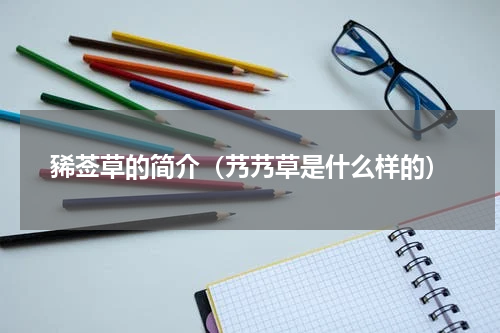 豨莶草的简介（艿艿草是什么样的）