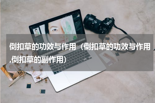 倒扣草的功效与作用（倒扣草的功效与作用,倒扣草的副作用）