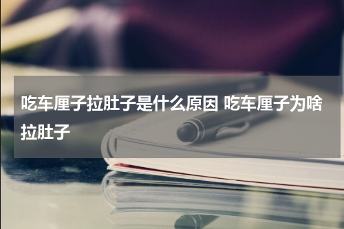 吃车厘子拉肚子是什么原因 吃车厘子为啥拉肚子
