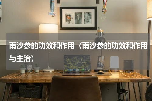 南沙参的功效和作用（南沙参的功效和作用与主治）